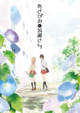 《牵牛花与加濑同学。》：清新唯美的百合恋曲，少女心事的甜蜜告白