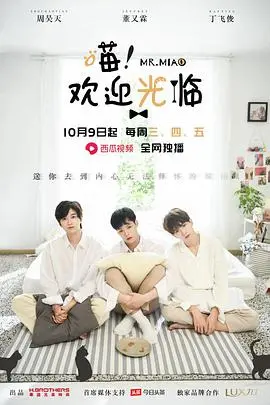 《喵欢迎光临》：萌猫店长的治愈日常，带你体验意想不到的奇妙之旅！