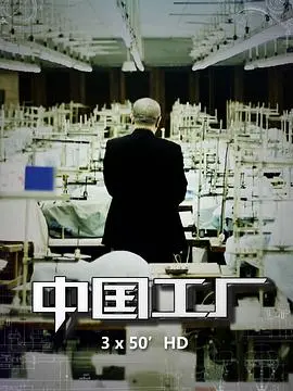 《中国工厂》深度解析：中国制造背后的血汗与希望，谁在为世界工厂买单？