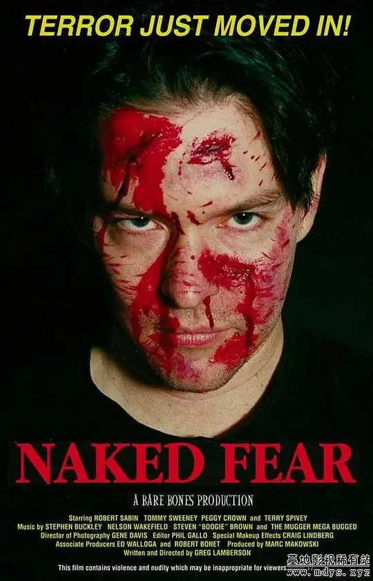 《赤裸惊魂》：迷雾中的人性审判，当欲望与谎言编织成致命陷阱